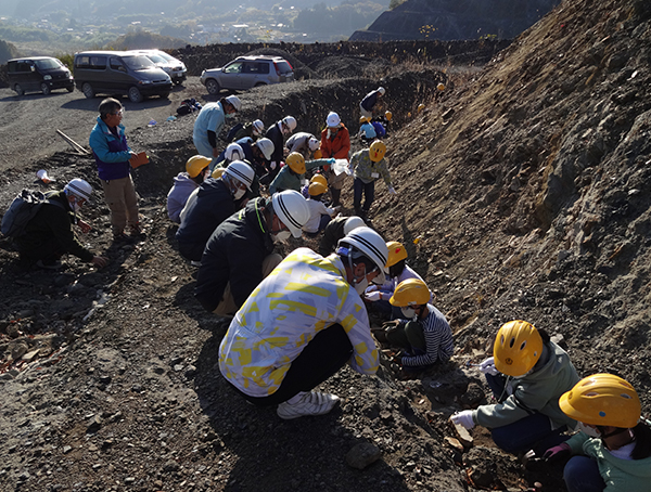 授業内容・方法の特徴
